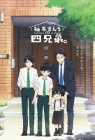 Четверо братьев Юдзуки смотреть онлайн аниме сериал 1 сезон